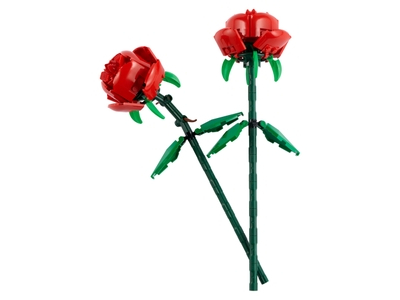 Placeholder for Roses
